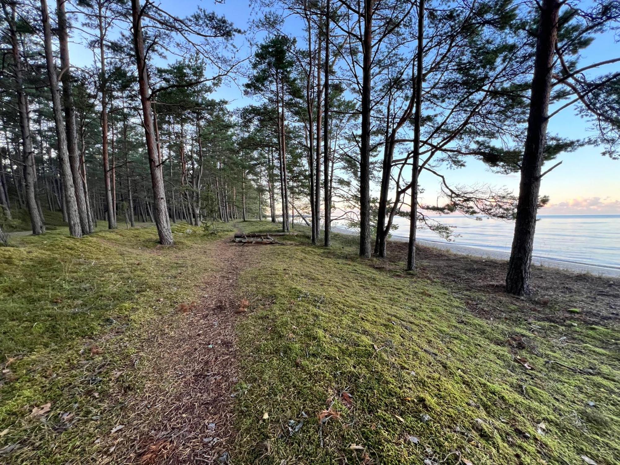 Lovely Apartment By The Sea. Kesterciems Екстер'єр фото