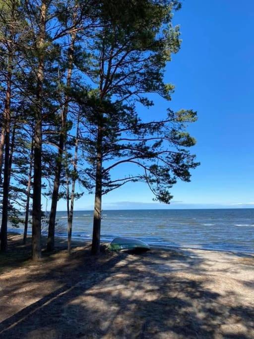 Lovely Apartment By The Sea. Kesterciems Екстер'єр фото